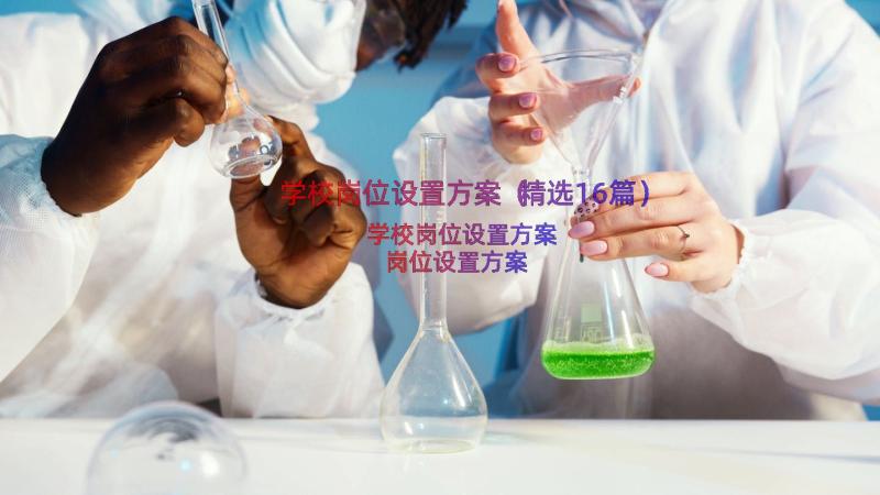 学校岗位设置方案（精选16篇）