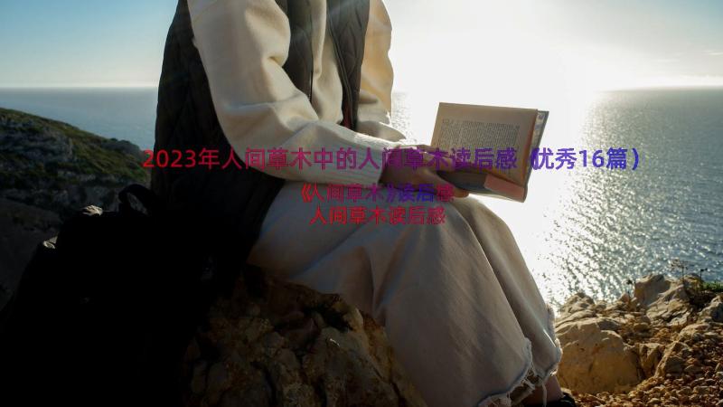 2023年人间草木中的人间草木读后感（优秀16篇）