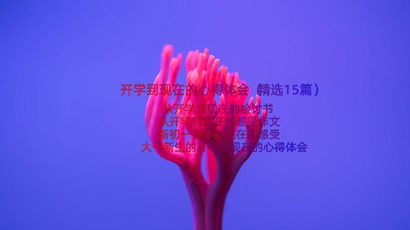 开学到现在的心得体会（精选15篇）