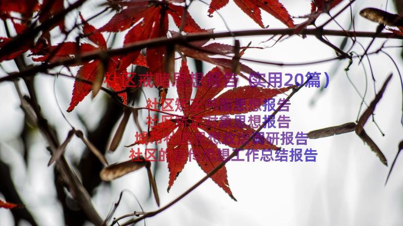 社区戒赌思想报告（实用20篇）