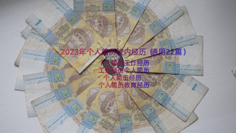 2023年个人简历校内经历（通用22篇）