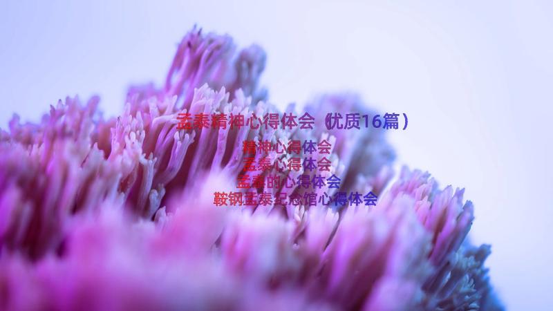 孟泰精神心得体会（优质16篇）