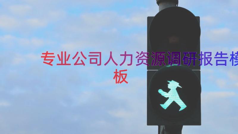 专业公司人力资源调研报告（模板17篇）