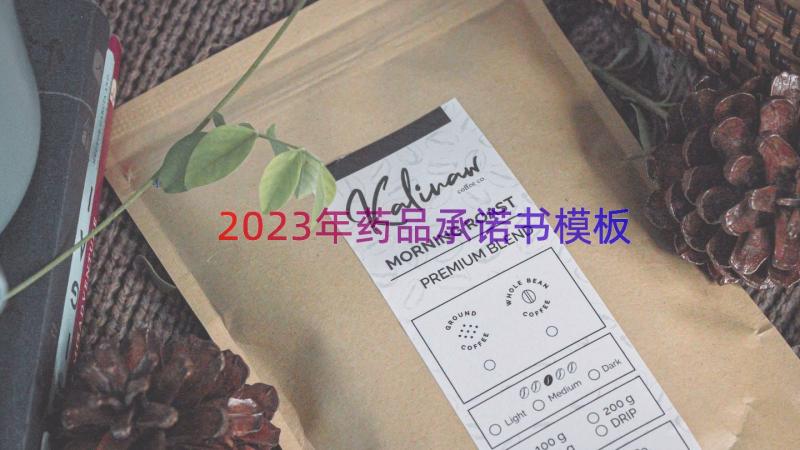 2023年药品承诺书（模板14篇）