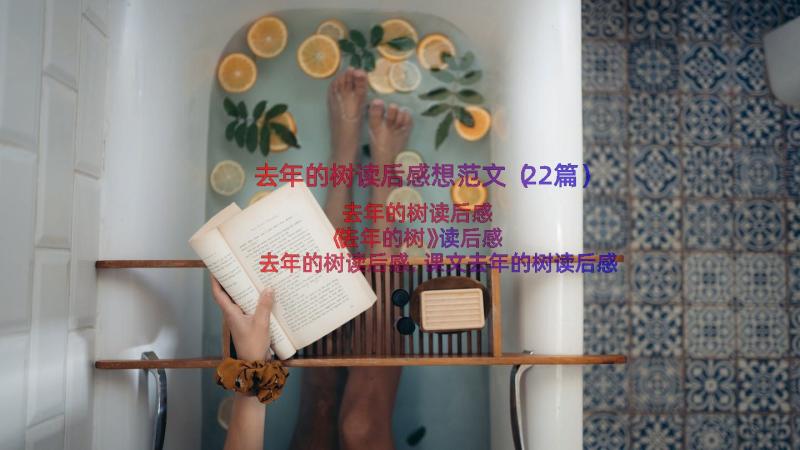 去年的树读后感想范文（22篇）