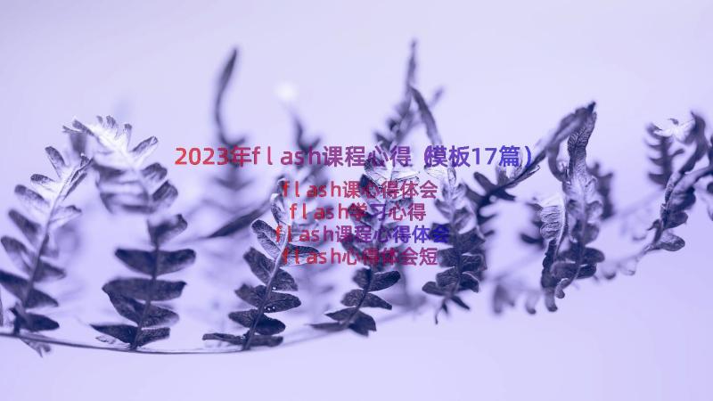 2023年flash课程心得（模板17篇）