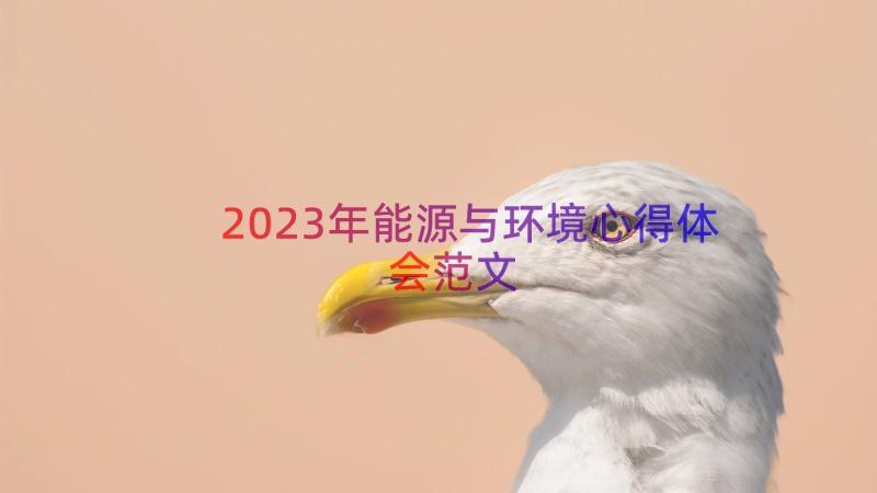 2023年能源与环境心得体会范文（14篇）