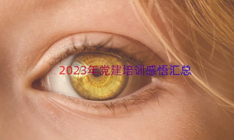 2023年党建培训感悟（汇总17篇）