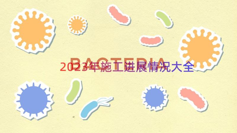 2023年施工进展情况大全（18篇）