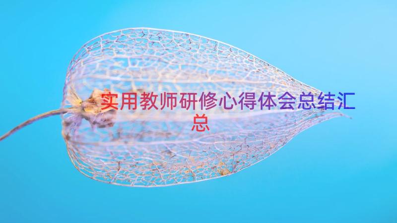 实用教师研修心得体会总结（汇总20篇）