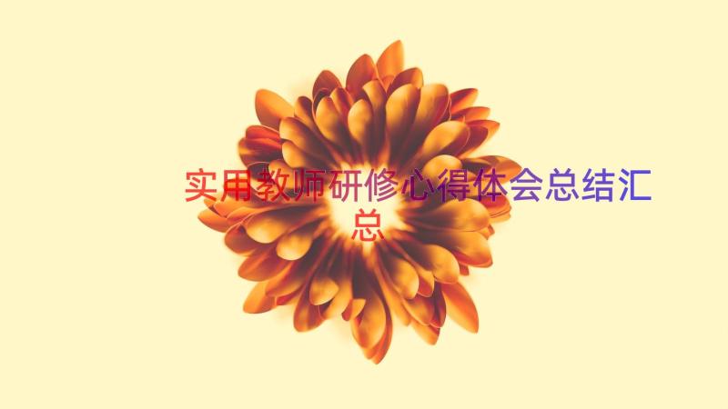 实用教师研修心得体会总结（汇总14篇）