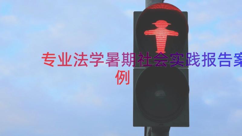 专业法学暑期社会实践报告（案例14篇）