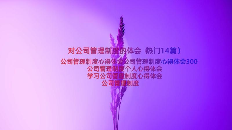 对公司管理制度的体会（热门14篇）