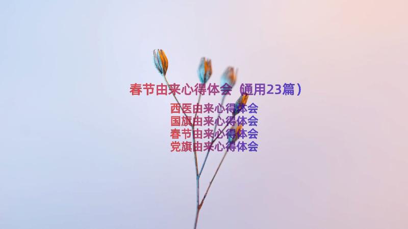 春节由来心得体会（通用23篇）