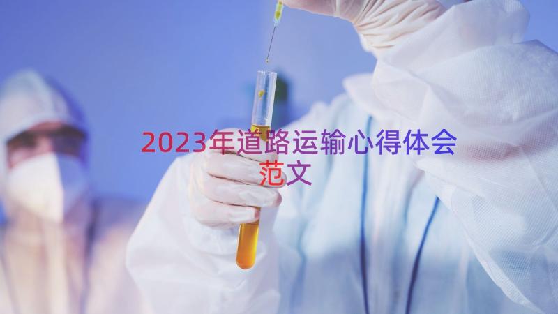 2023年道路运输心得体会范文（20篇）