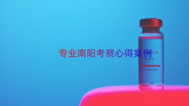 专业南阳考察心得（案例13篇）