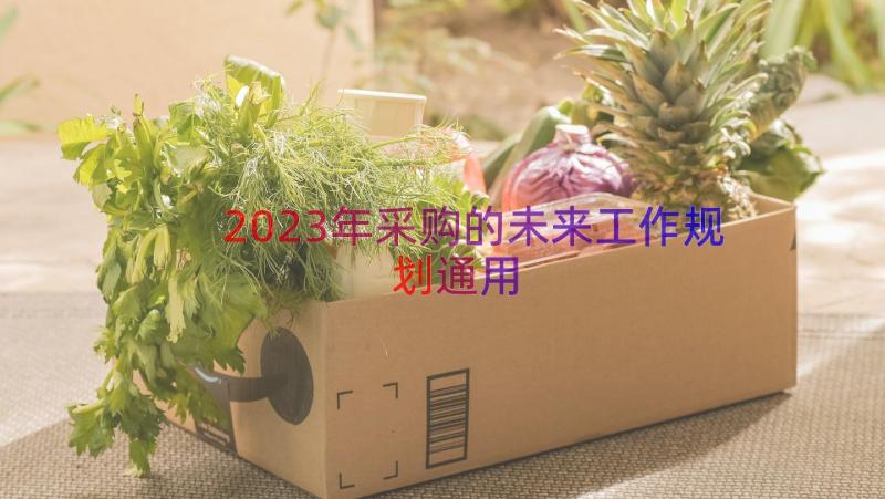 2023年采购的未来工作规划（通用17篇）