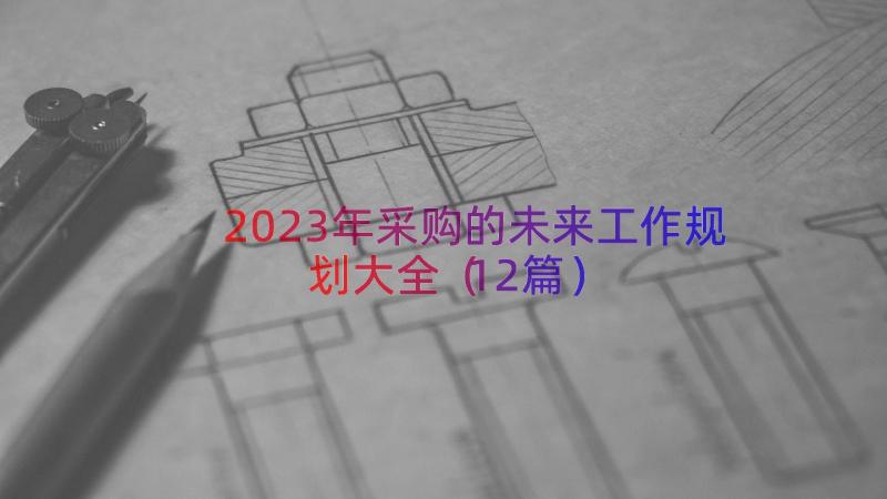 2023年采购的未来工作规划大全（12篇）