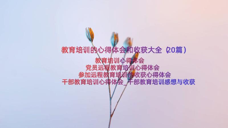 教育培训的心得体会和收获大全（20篇）