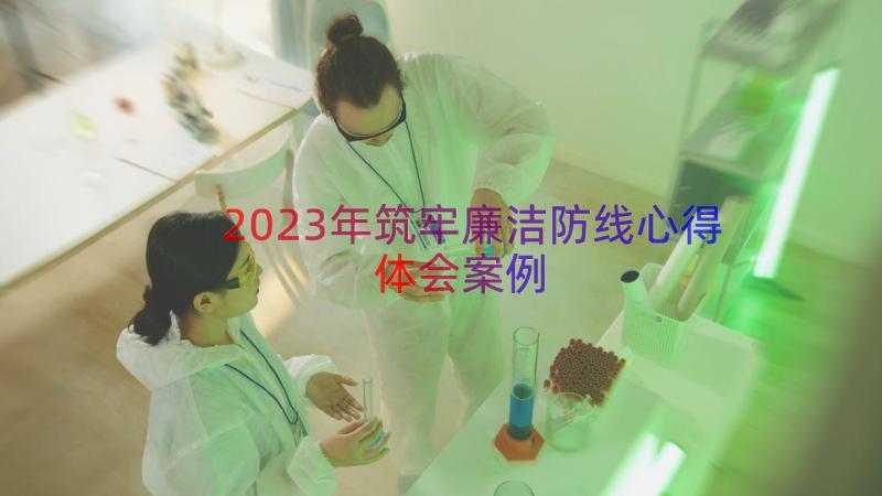 2023年筑牢廉洁防线心得体会（案例15篇）