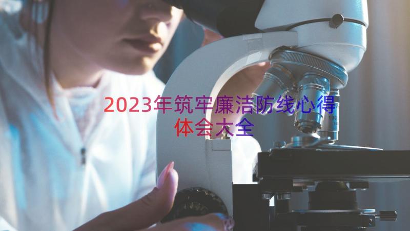 2023年筑牢廉洁防线心得体会大全（15篇）