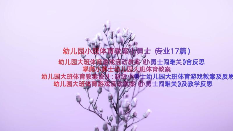 幼儿园小班体育教案小勇士（专业17篇）