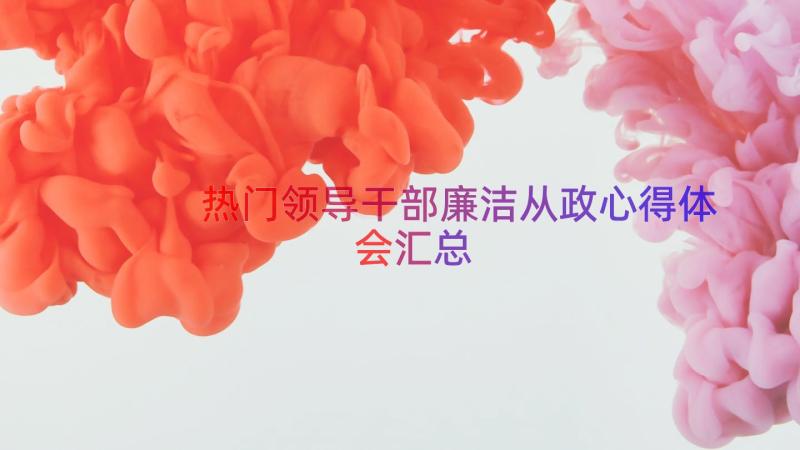 热门领导干部廉洁从政心得体会（汇总12篇）