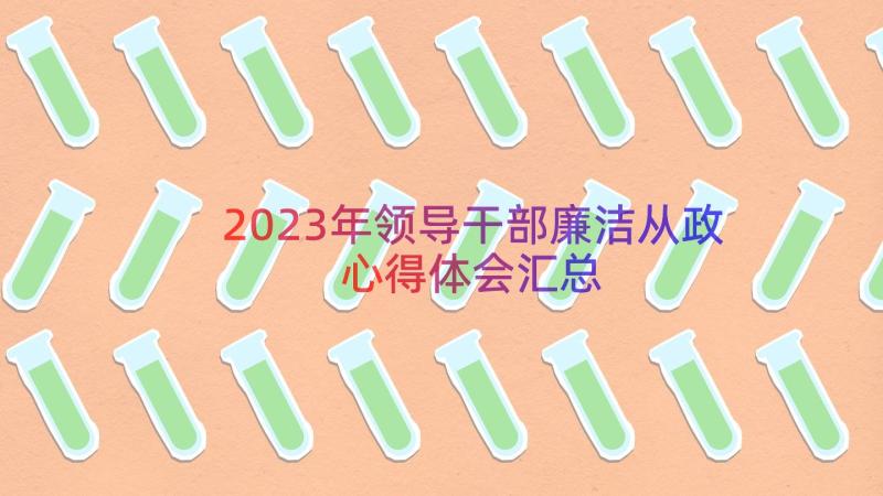 2023年领导干部廉洁从政心得体会（汇总20篇）