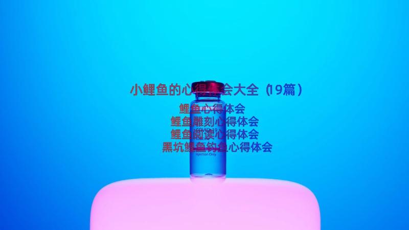 小鲤鱼的心得体会大全（19篇）