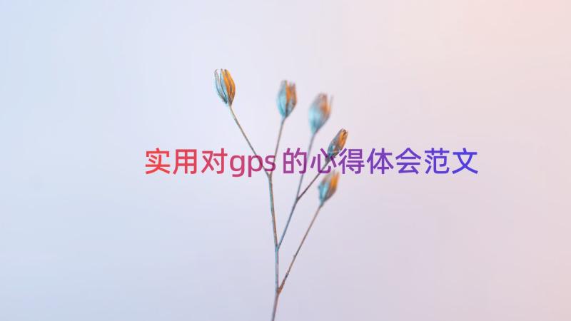 实用对gps的心得体会范文（16篇）