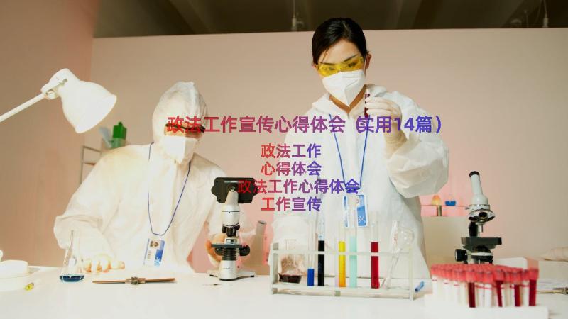 政法工作宣传心得体会（实用14篇）