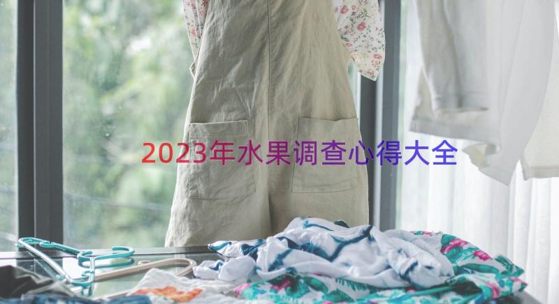 2023年水果调查心得大全（14篇）