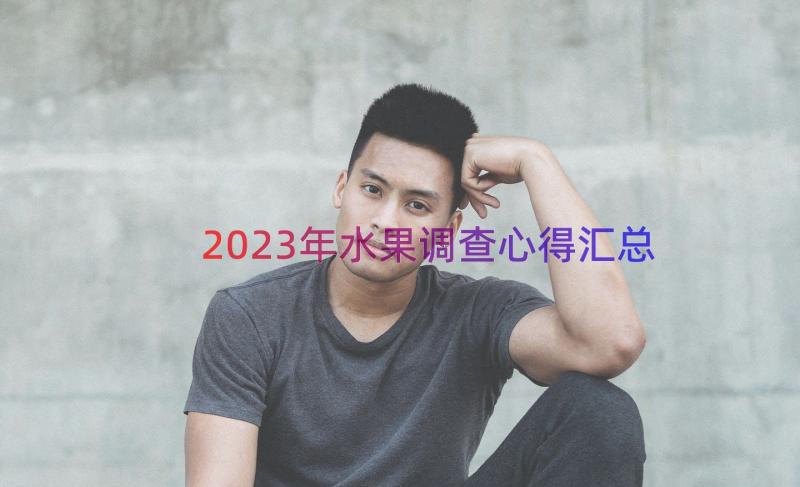 2023年水果调查心得（汇总17篇）