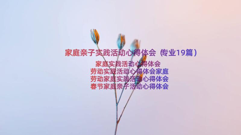 家庭亲子实践活动心得体会（专业19篇）