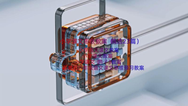 小学课文枣核教案（精选23篇）