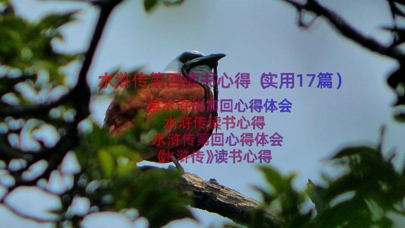 水浒传第回读书心得（实用17篇）