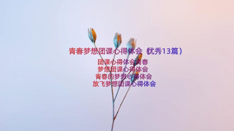 青春梦想团课心得体会（优秀13篇）