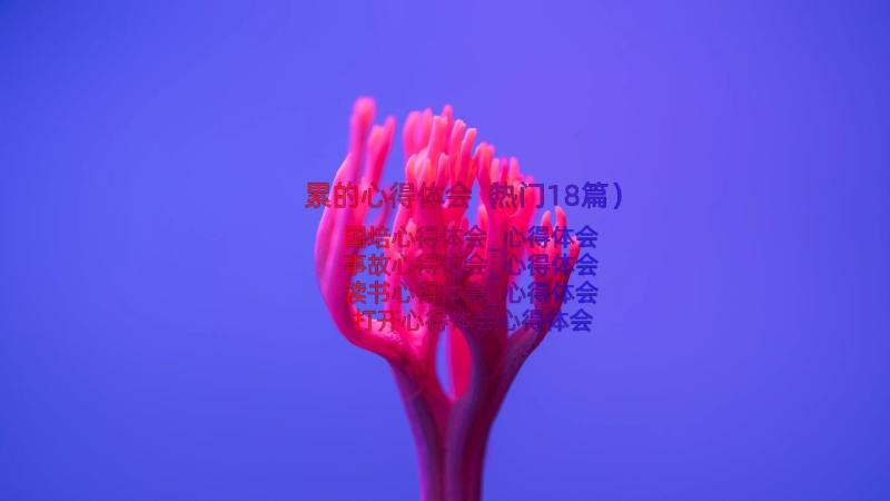 累的心得体会（热门18篇）