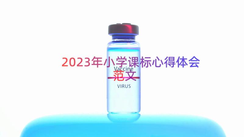 2023年小学课标心得体会范文（18篇）