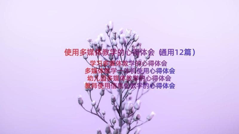 使用多媒体教学的心得体会（通用12篇）