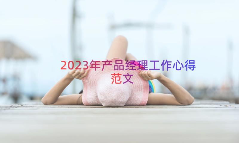 2023年产品经理工作心得范文（15篇）