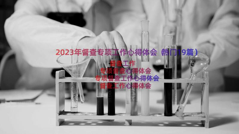 2023年督查专项工作心得体会（热门19篇）
