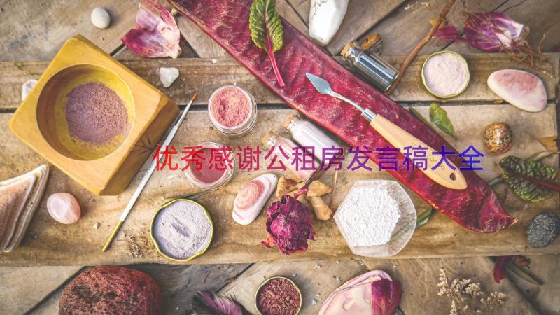 优秀感谢公租房发言稿大全（13篇）