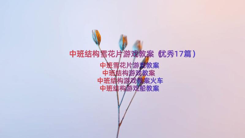 中班结构雪花片游戏教案（优秀17篇）