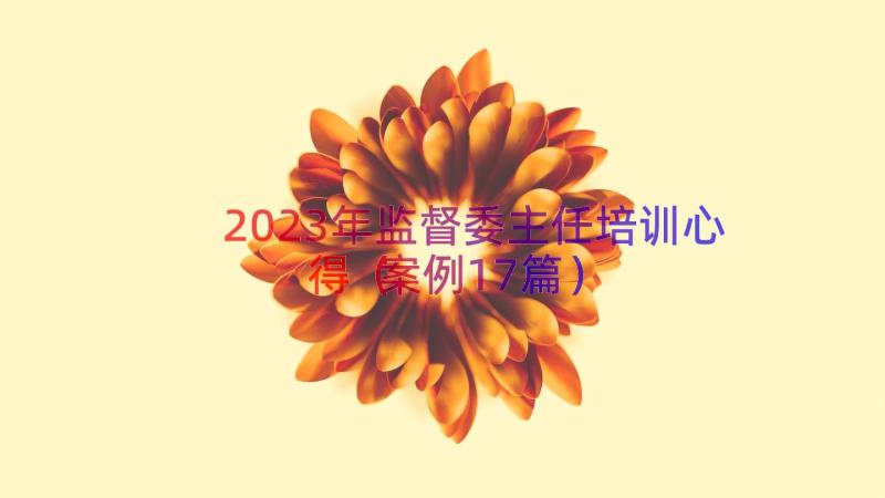 2023年监督委主任培训心得（案例17篇）