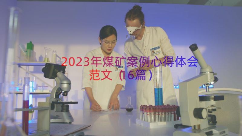 2023年煤矿案例心得体会范文（16篇）