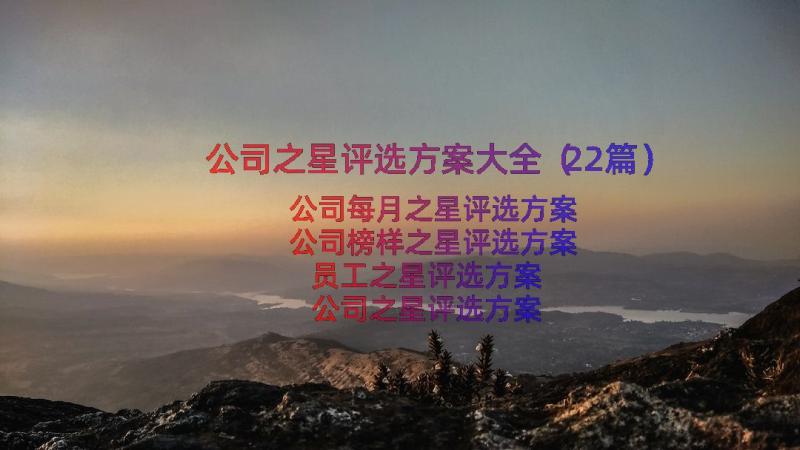 公司之星评选方案大全（22篇）