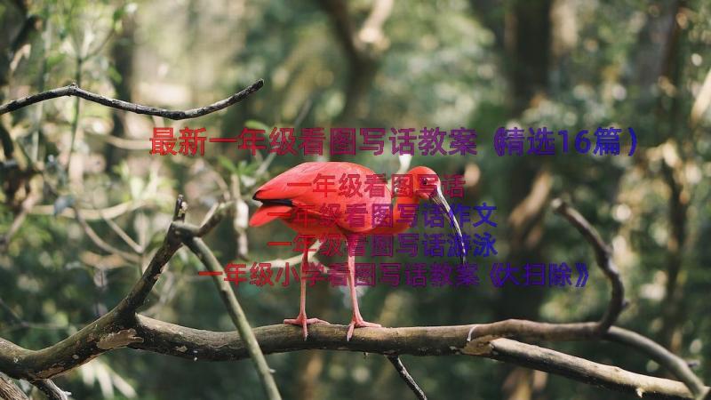 最新一年级看图写话教案（精选16篇）