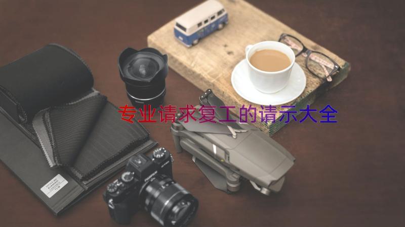 专业请求复工的请示大全（15篇）