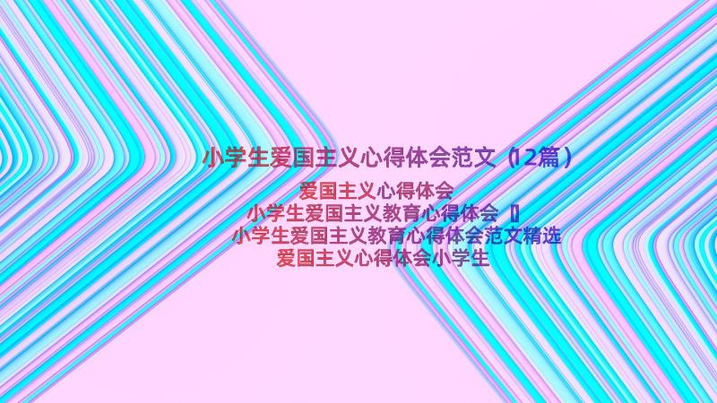 小学生爱国主义心得体会范文（12篇）